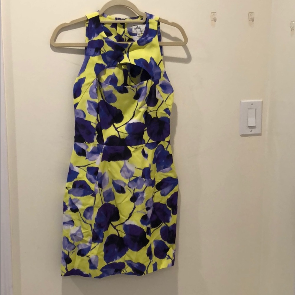 NWT gorgeous Milly dress